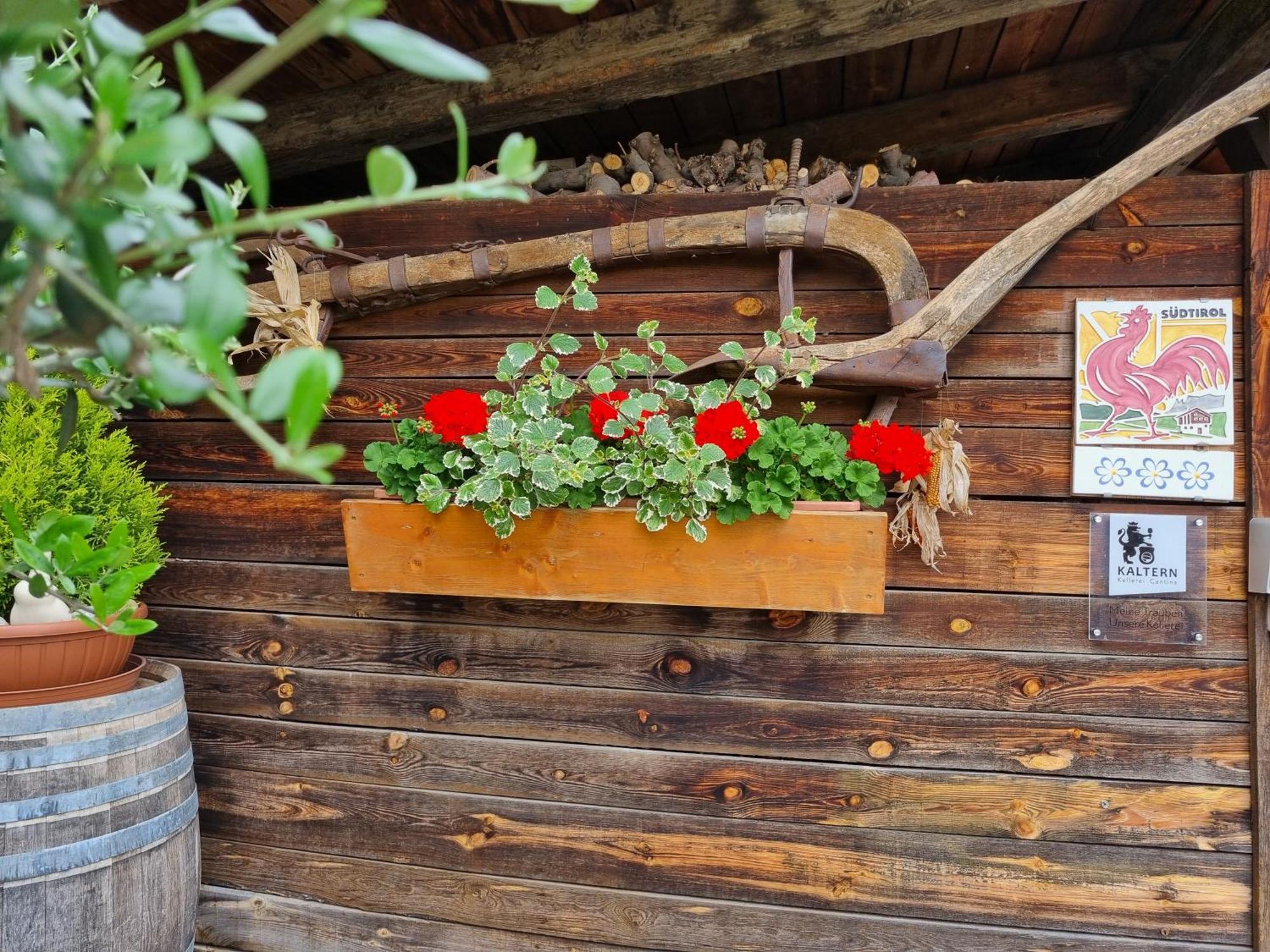 Urlaub Auf Dem Bauernhof Schmidhof - Grosse Terrasse, Pool Und Beste Lage Кальдаро Экстерьер фото